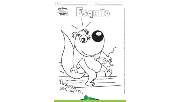 Desenho para Colorir – Animais - Esquilo