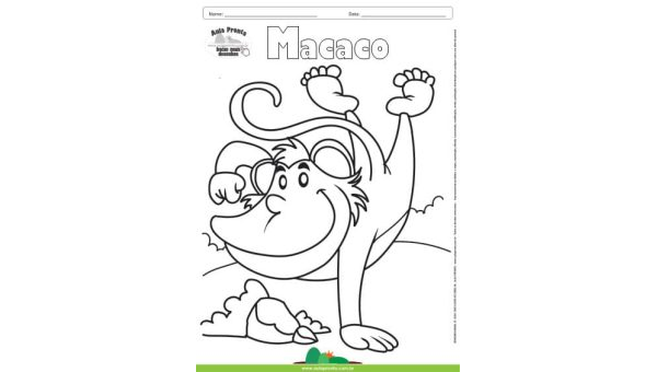 Desenho para Colorir – Animais - Macaco