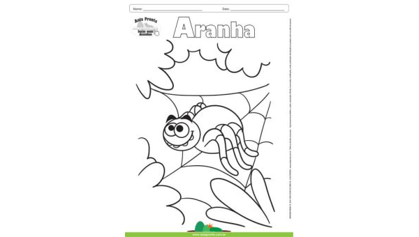 Desenho para Colorir – Animais - Aranha
