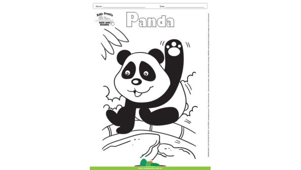 Desenho para Colorir – Animais - Panda
