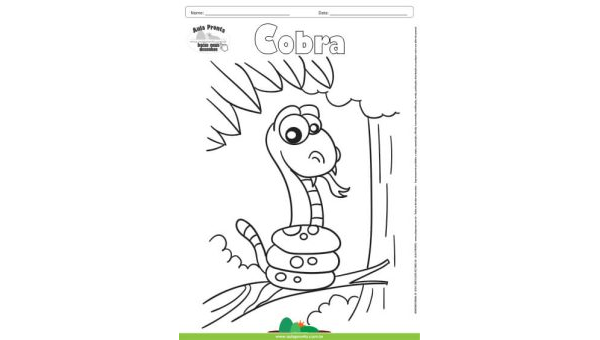 Desenho para Colorir – Animais - Cobra