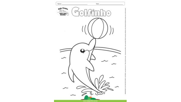 Desenho para Colorir – Animais - Golfinho