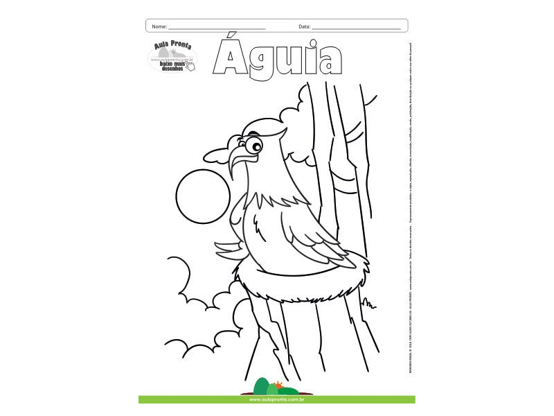 Desenho para Colorir – Animais - Águia