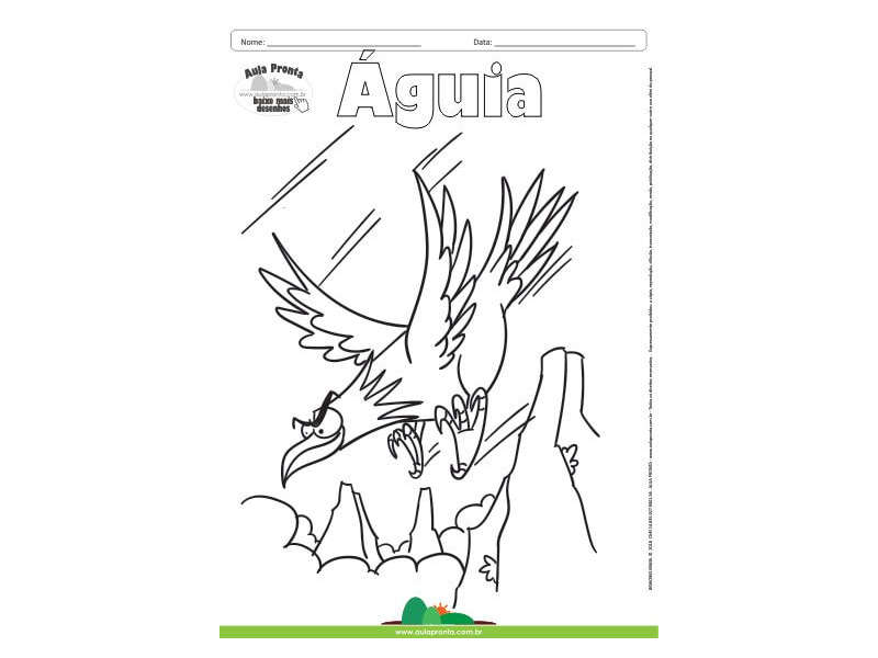 Desenho para Colorir – Animais - Águia