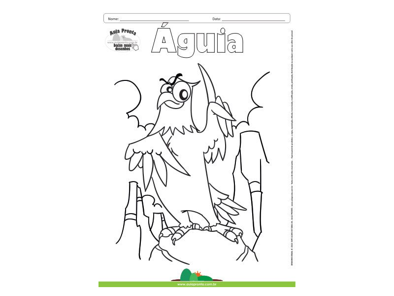 Desenho para Colorir – Animais - Águia