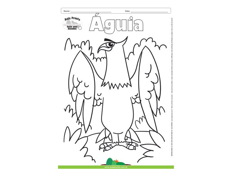 Desenho para Colorir – Animais - Águia