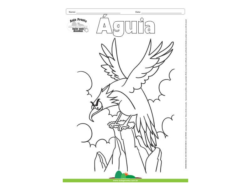 Desenho para Colorir – Animais - Águia