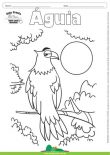 Desenho para Colorir – Animais - Águia