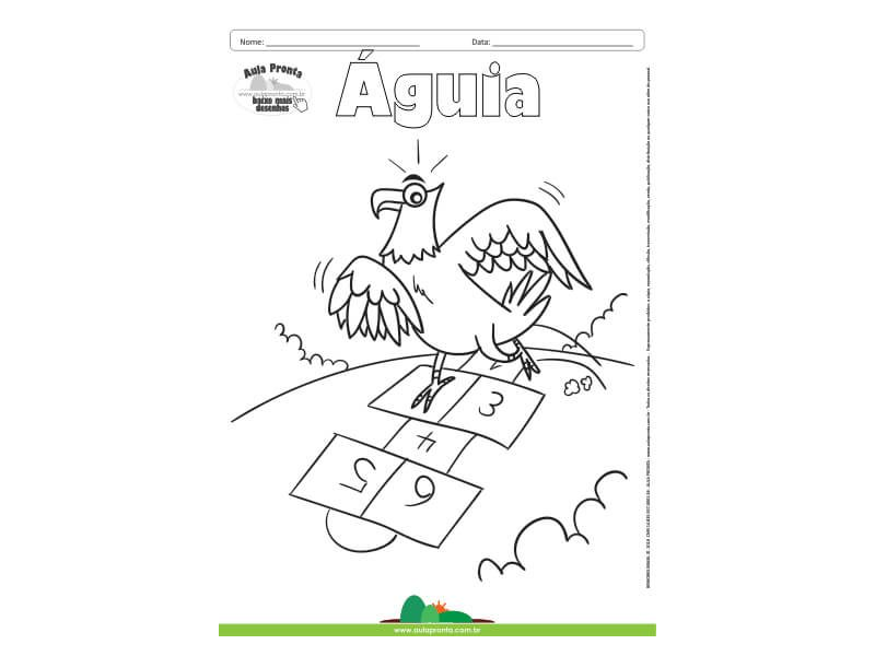Desenho para Colorir – Animais - Águia