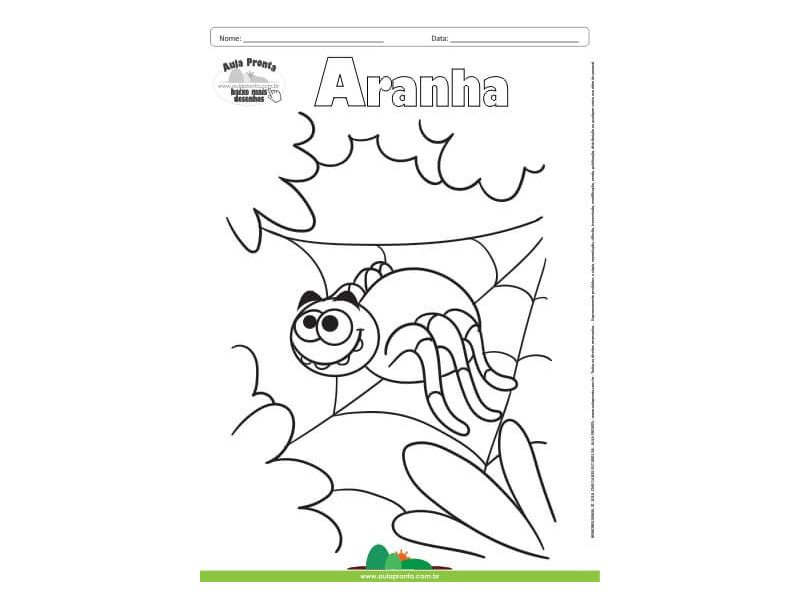 Desenho para Colorir – Animais - Aranha