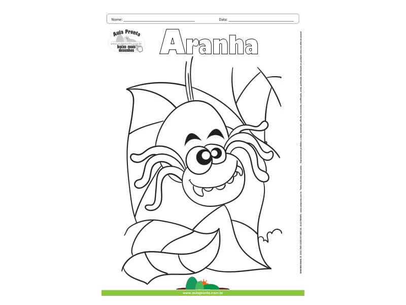 Desenho para Colorir – Animais - Aranha