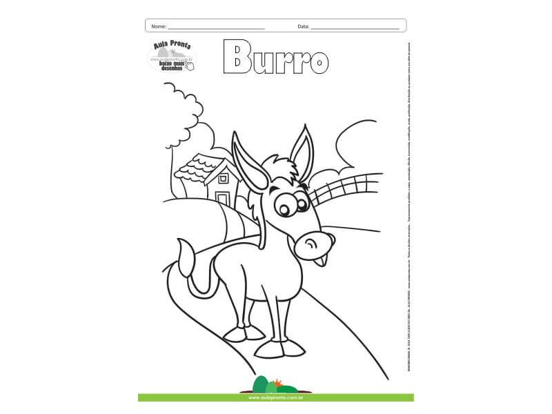 Desenho para Colorir – Animais - Burro