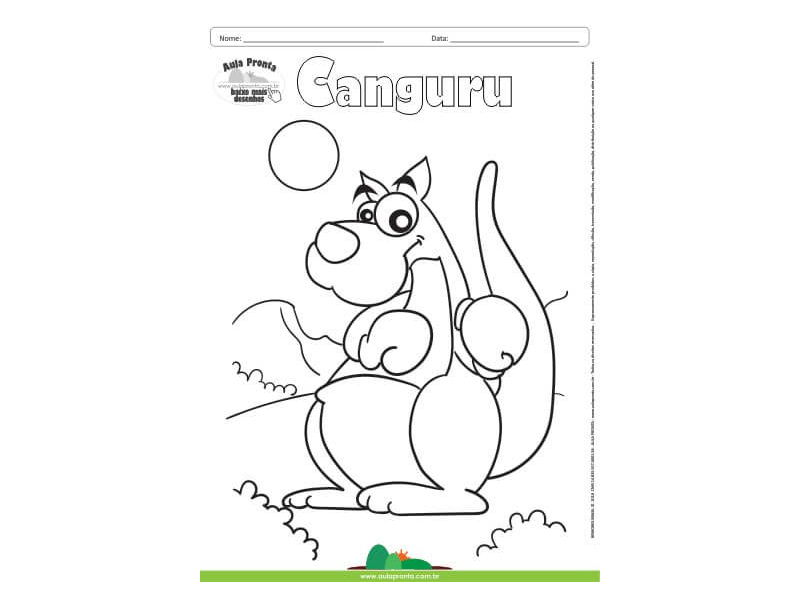 Desenho para Colorir – Animais - Canguru