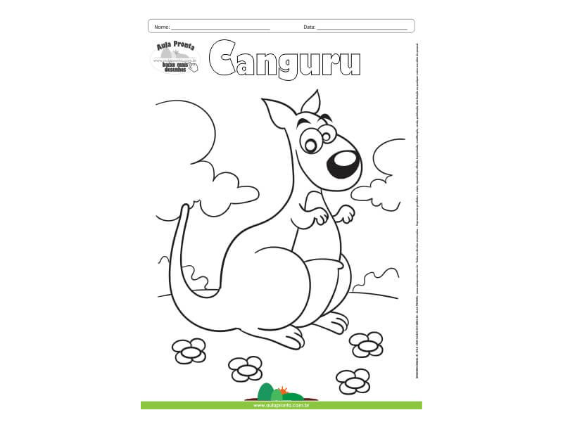 Desenho para Colorir – Animais - Canguru