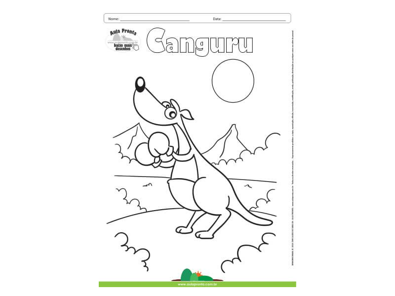 Desenho para Colorir – Animais - Canguru