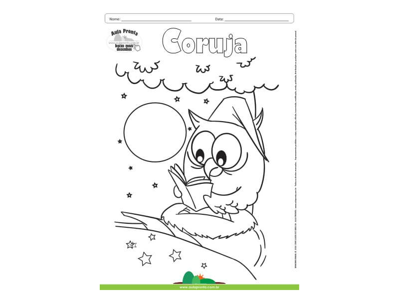 Desenho para Colorir – Animais - Coruja