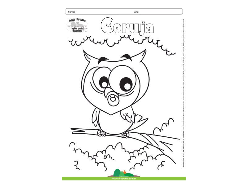 Desenho para Colorir – Animais - Coruja