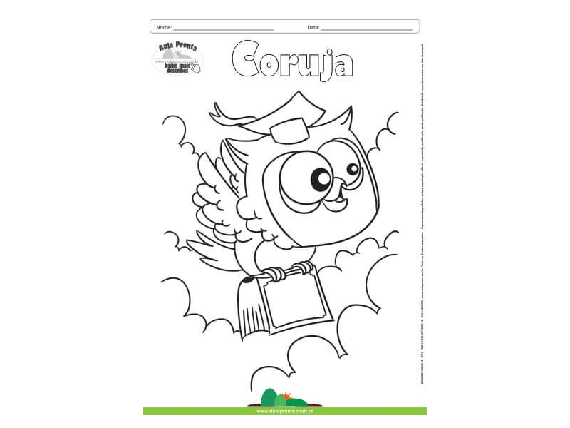 Desenho para Colorir – Animais - Coruja