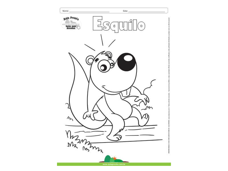 Desenho para Colorir – Animais - Esquilo