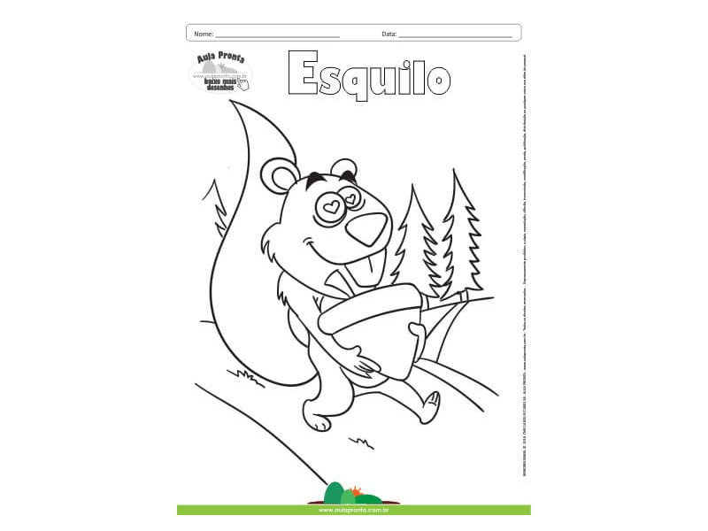 Desenho para Colorir – Animais - Esquilo
