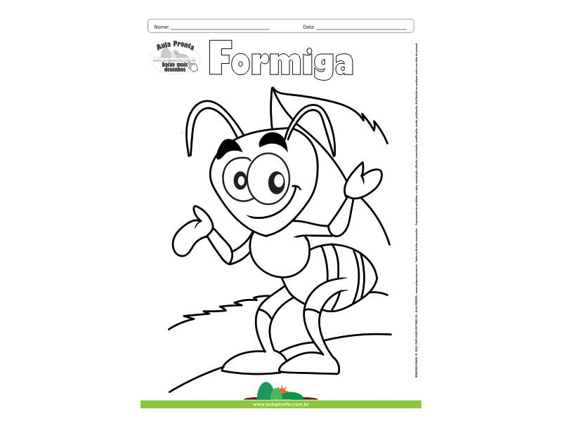 Desenho para Colorir – Animais - Formiga