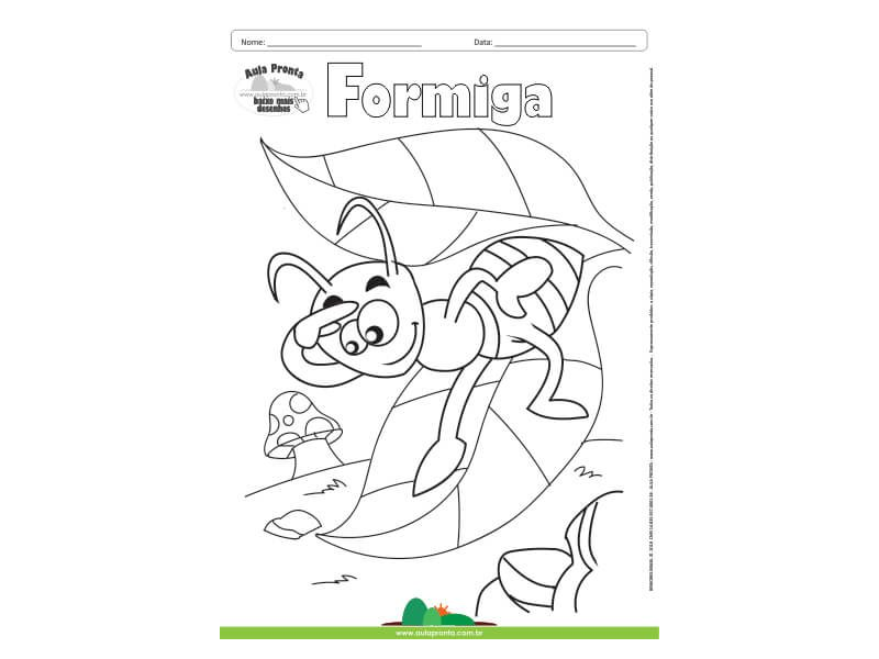 Desenho para Colorir – Animais - Formiga