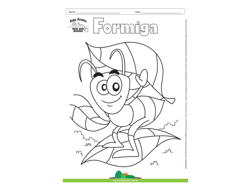 Desenho para Colorir – Animais - Formiga