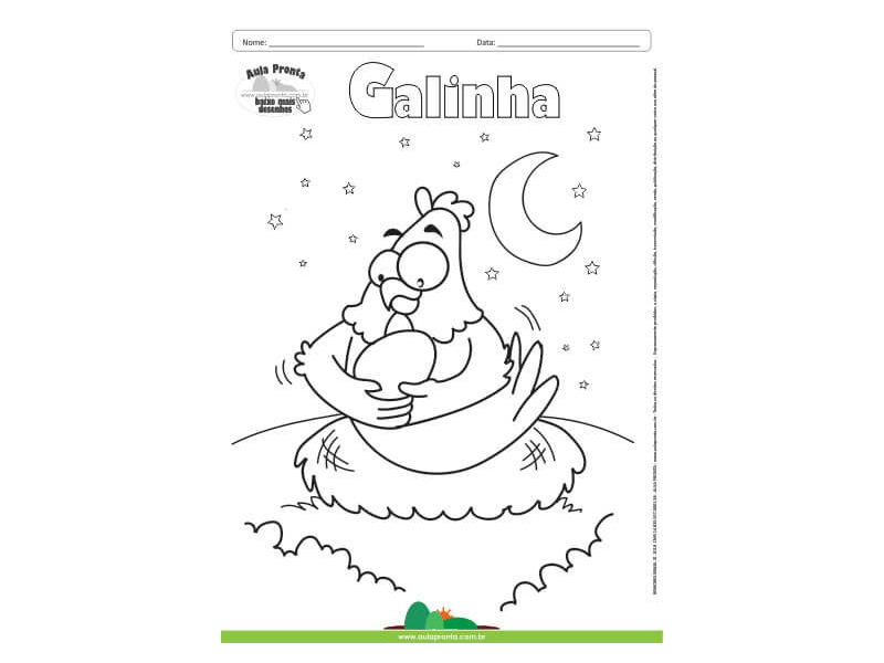 Desenho para Colorir – Animais - Galinha