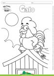 Desenho para Colorir – Animais - Galo