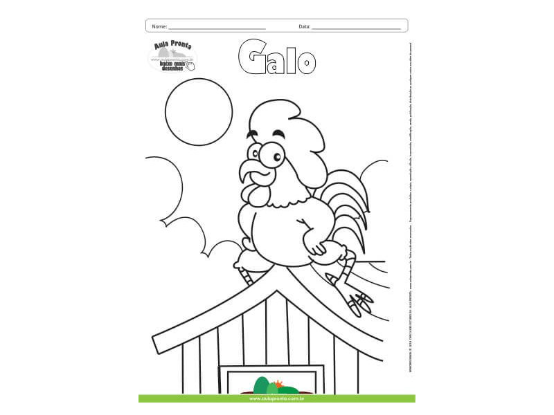 Desenho para Colorir – Animais - Galo