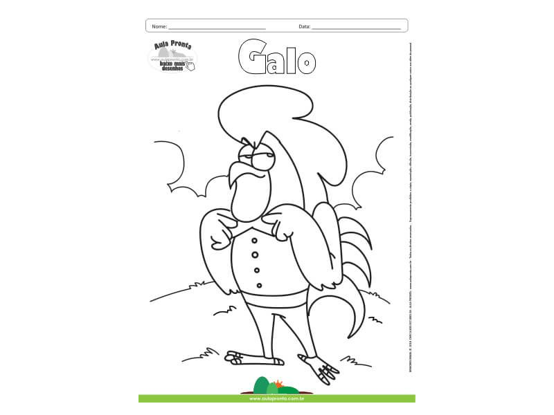 Desenho para Colorir – Animais - Galo