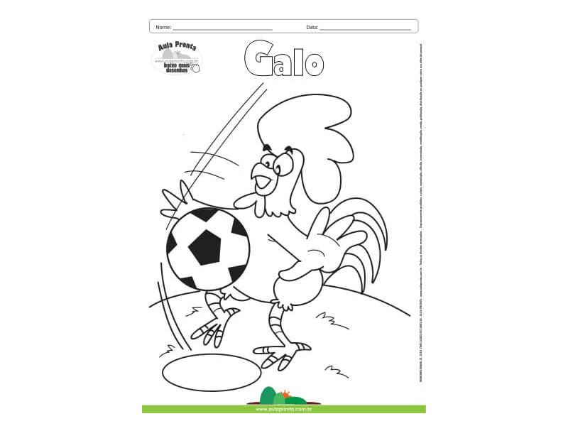 Desenho para Colorir – Animais - Galo