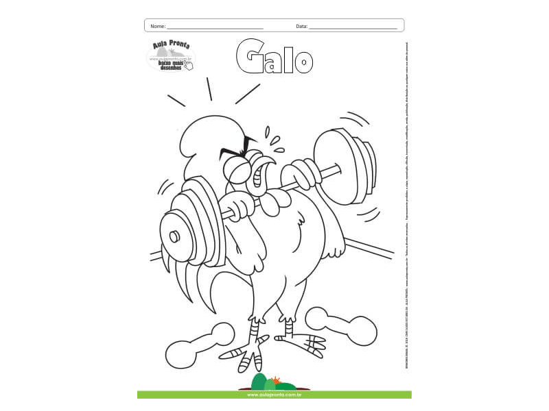 Desenho para Colorir – Animais - Galo