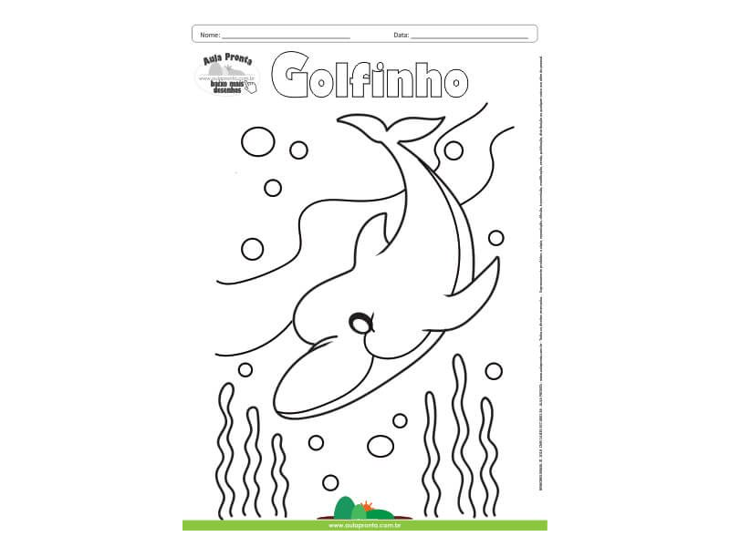 Desenho para Colorir – Animais - Golfinho