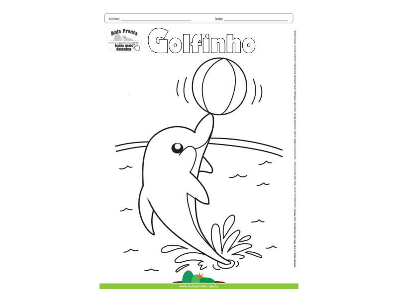 Desenho para Colorir – Animais - Golfinho