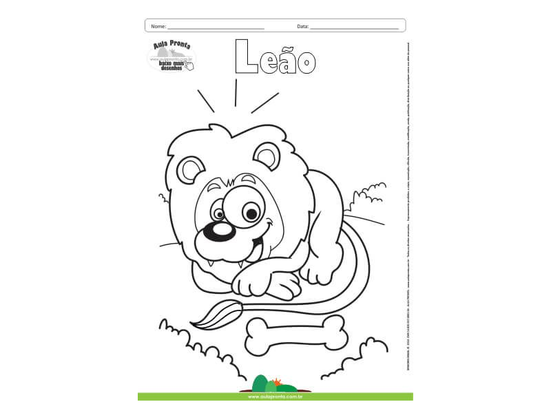 Desenho para Colorir – Animais - Leão