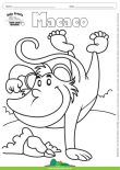 Desenho para Colorir – Animais - Macaco