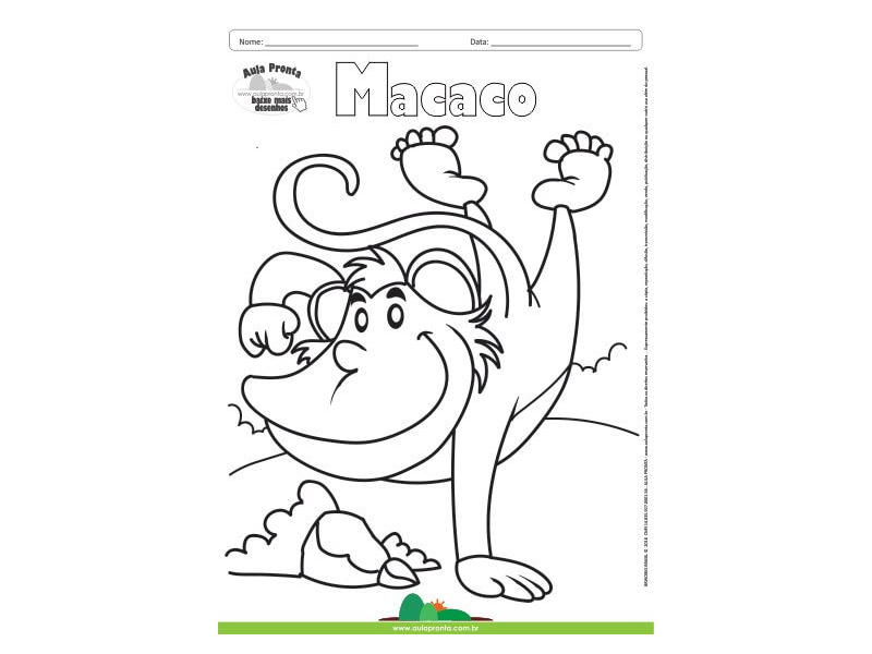 Desenho para Colorir – Animais - Macaco - Aula Pronta