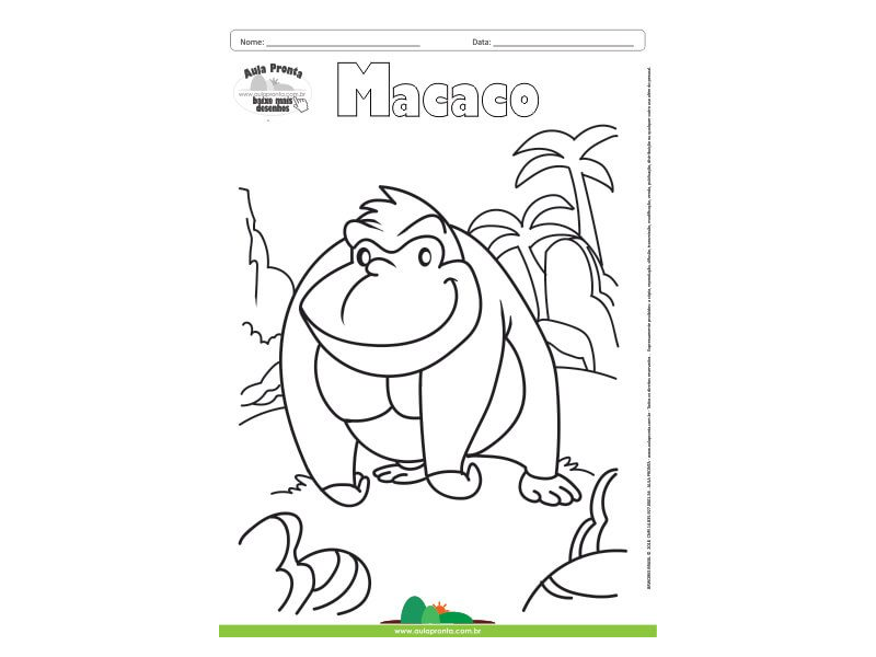 Macaco – Desenhos para Colorir - Desenhos Para Colorir
