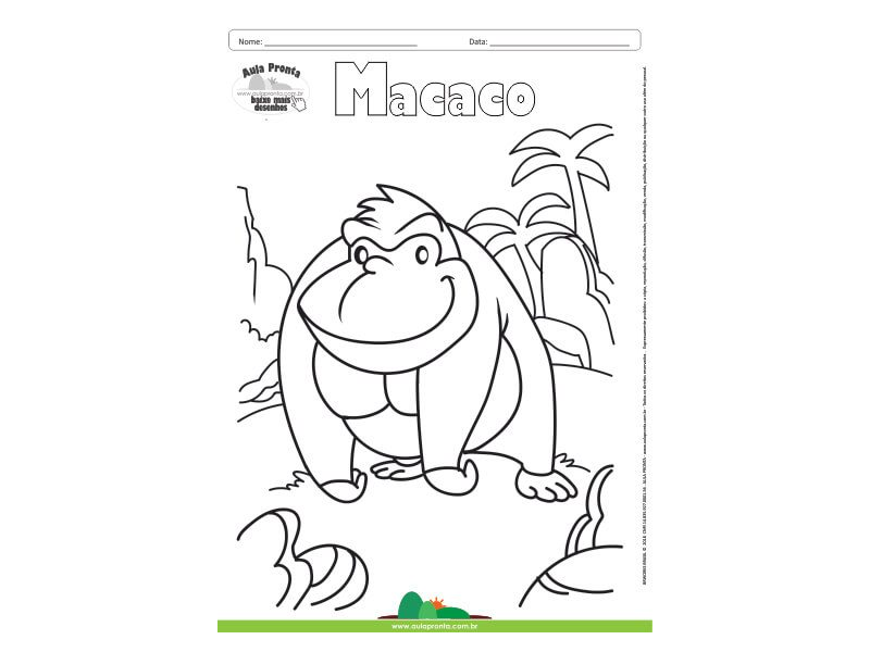 Desenho para Colorir – Animais - Macaco - Aula Pronta