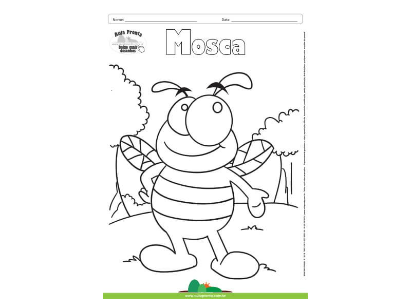 Desenho para Colorir – Animais - Mosca