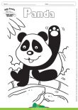 Desenho para Colorir – Animais - Panda