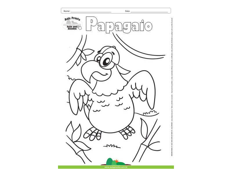 Desenho para Colorir – Animais - Papagaio