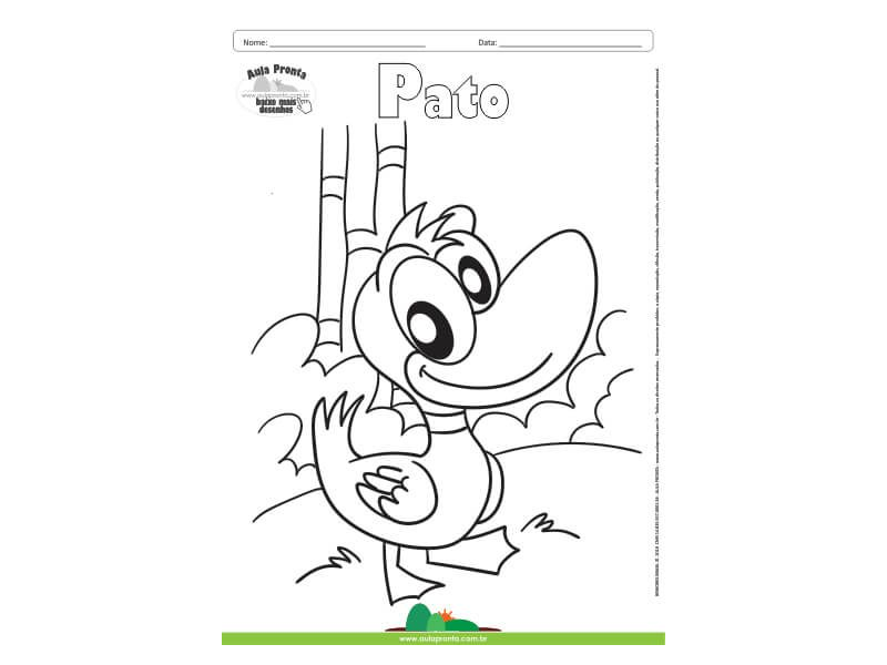 Desenho para Colorir – Animais -  Pato