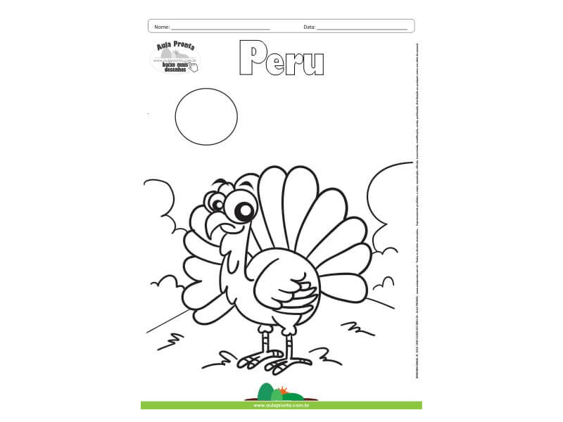 Desenho para Colorir – Animais -  Peru