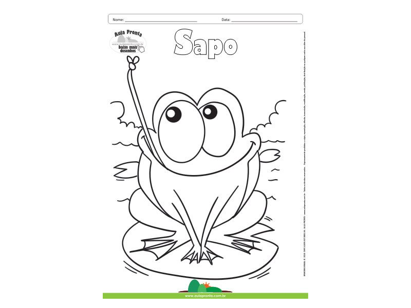 Desenho para Colorir – Animais - Sapo