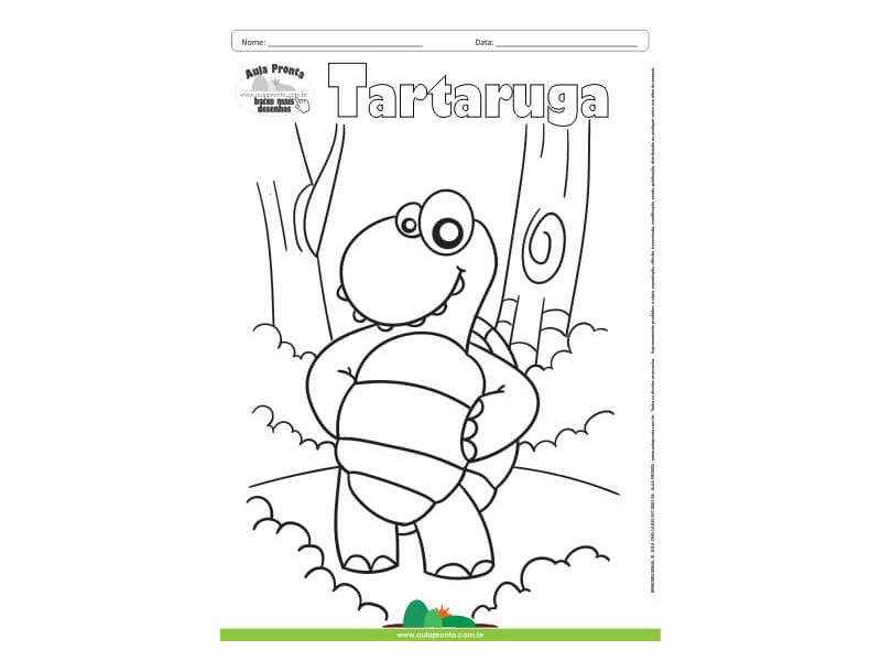 Desenho para Colorir – Animais - Tartaruga