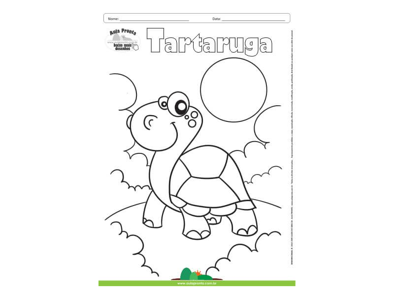 Desenho para Colorir – Animais - Tartaruga