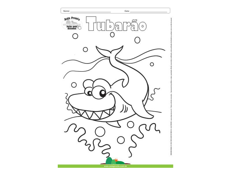 Desenho para Colorir – Animais - Tubarão