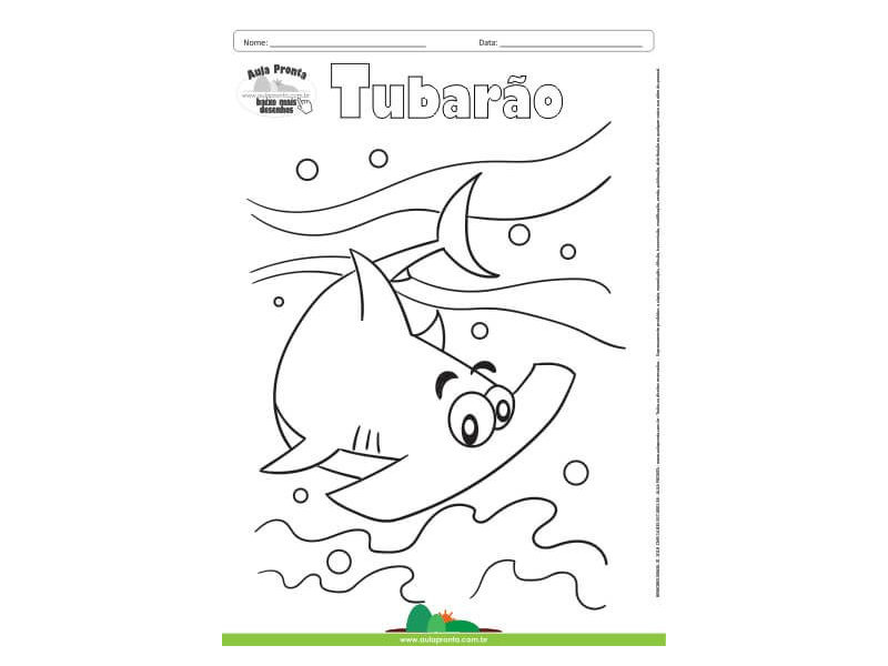 Desenho para Colorir – Animais - Tubarão